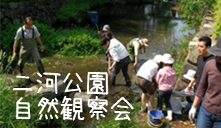 二河公園自然観察会